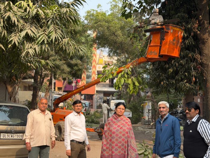 Tree pruning underway in Sector Beta-1 by GNIDA team