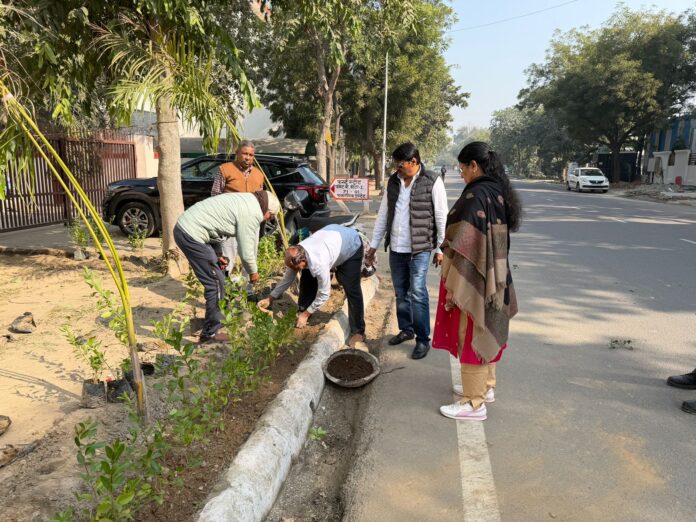 RWA team plants 400 hedge and flowering plants at Sector Beta-1 Gate No. 1. RWA team plants 400 hedge and flowering plants at Sector Beta-1 Gate No. 1.