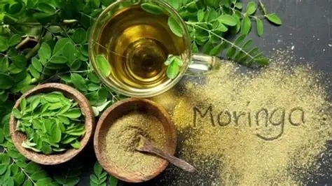 moringa water