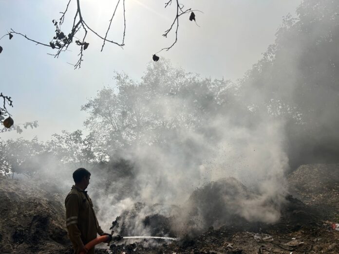 Daily waste burning in Sector 96 highlights the widening gap between Noida Authority’s promises and on-ground reality.