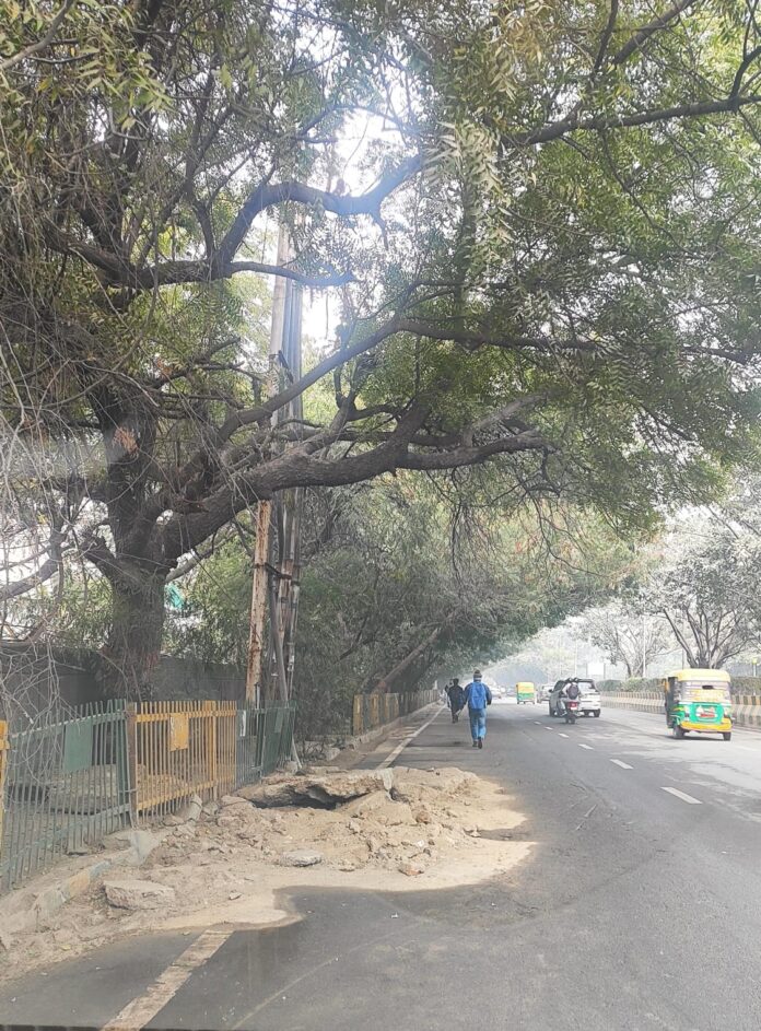 The broken road between Sectors 36–37 exposes administrative failure—despite tall claims by the JE, Senior Manager (Work Circle-II), DGM Civil, and GM Civil, the road remains unrepaired even after one year.