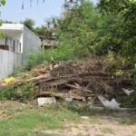 Sector 105 residents have raised serious concerns over worsening sanitation, overgrown vacant plots and poorly maintained parks. The RWA has urged the Noida Authority to take immediate action to restore cleanliness and ensure public safety.