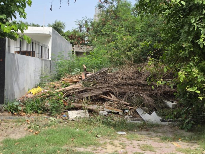 Sector 105 residents have raised serious concerns over worsening sanitation, overgrown vacant plots and poorly maintained parks. The RWA has urged the Noida Authority to take immediate action to restore cleanliness and ensure public safety.