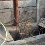 नोएडा में बारिश के दौरान एक 28 साल के युवक की गहरे खुले नाले में गिरने से मौत हो गई।