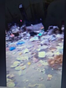 Garbage scattered outside the ESI Hospital gate in Noida Sector 24 raises concerns over sanitation and public health.