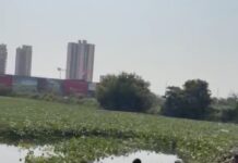 This image from Ganpati Visarjan is not even a month old, yet concerns over cleanliness and safety at the immersion site remain. With Durga Visarjan approaching, what can residents expect from the Greater Noida Authority?